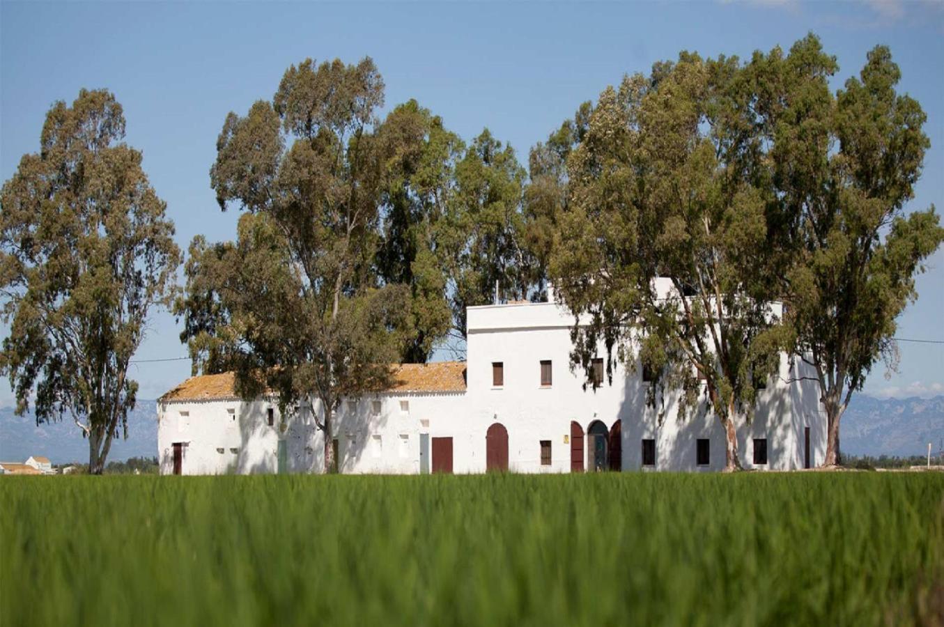 Mas Illa De Riu: Authentic Delta del Ebro Farmhouse for 20 Sant Jaume d'Enveja Exterior photo