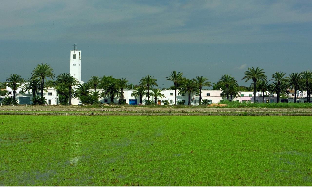 Mas Illa De Riu: Authentic Delta del Ebro Farmhouse for 20 Sant Jaume d'Enveja Exterior photo