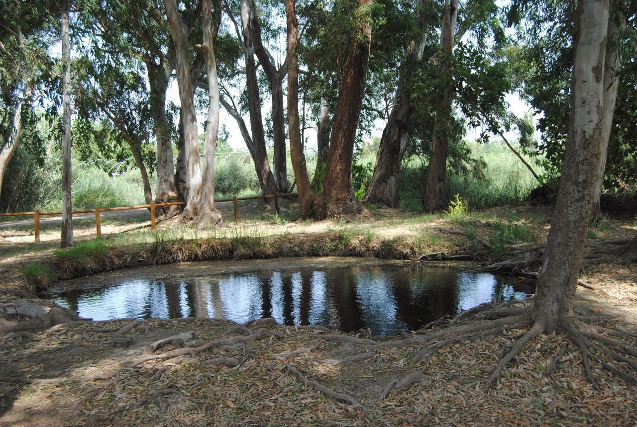 Mas Illa De Riu: Authentic Delta del Ebro Farmhouse for 20 Sant Jaume d'Enveja Exterior photo